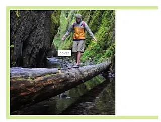 Author an image component